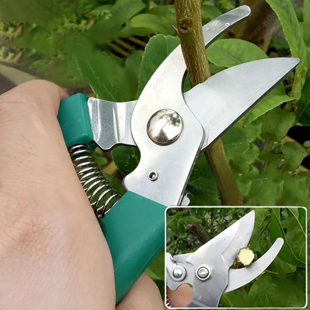 10 Pcs Garden Tools Set Stainless Steel Manual Control Tools with Carrying Case Shovel Rake Scissors Watering Hand