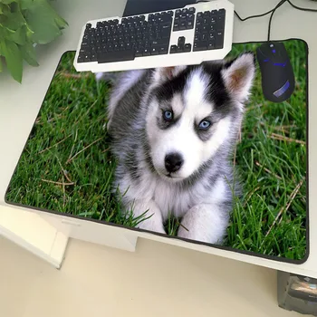 

XGZ Animal Large Size Mouse Pad Lock Side Sled Dog Cute Blue Eyes Husky Pattern Laptop PC Table Mat Rubber Universal Non-slip
