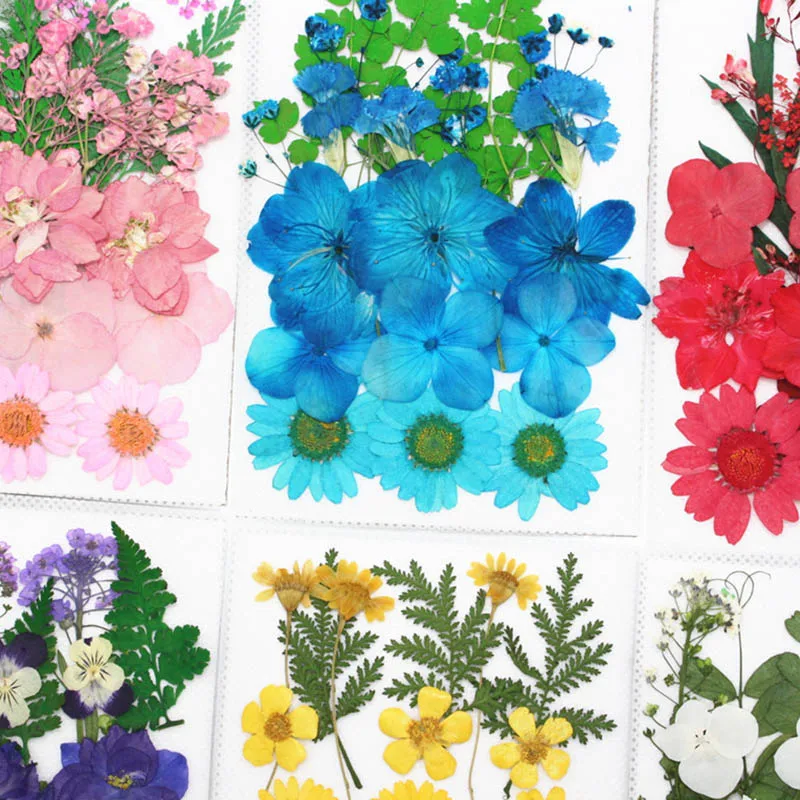 15-21 шт 1 мешок маленькие сушеные цветы прессованные цветы DIY сохраненные Цветочные украшения дома мини-блоги