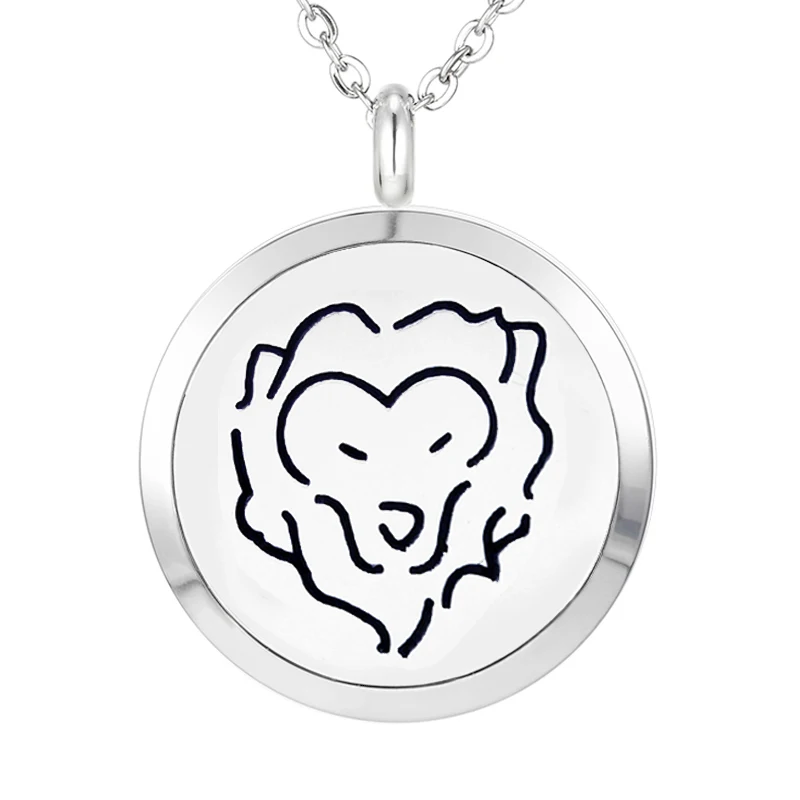 422 Essential Oil Diffuser Locket Pendant Necklace