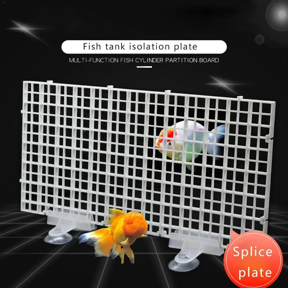 

Aquarium Acrylic Divider Full Holes With 4pcs Suction For Betta Cup Free Guppies Clear Fish Black Tank Blue R2N6