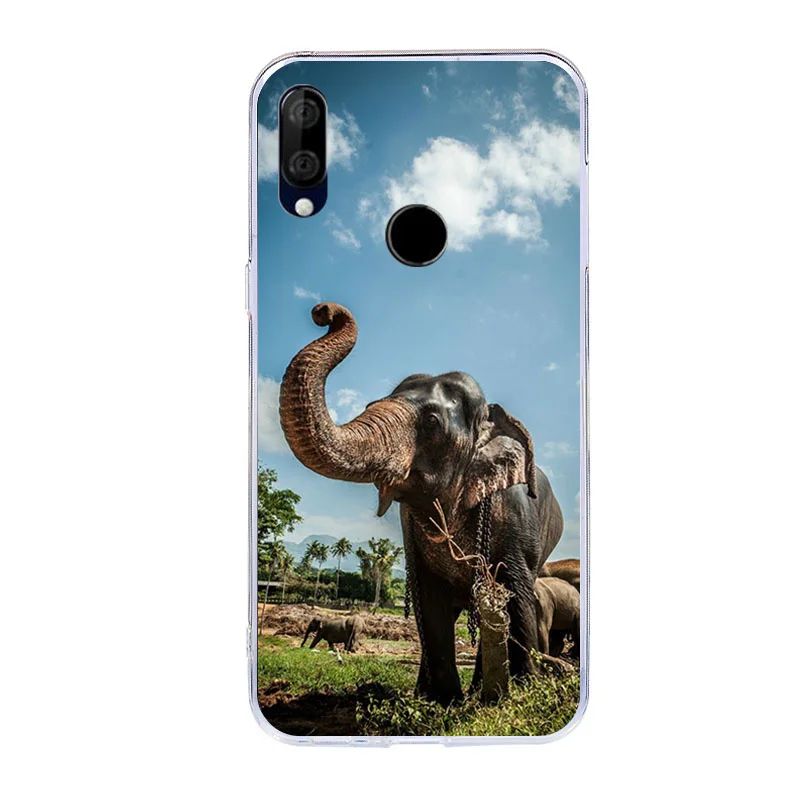 Чехол для huawei BQ 6040L Magic Soft TPU силиконовый бампер на BQ 6040L Чехлы для BQ 6040L Magic задняя крышка-чехол для телефона