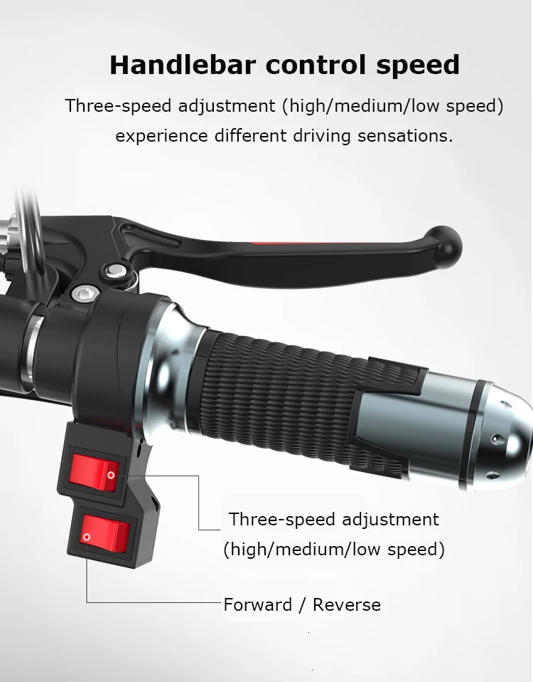 Daibot Electric Tricycle Bike 3 Wheels Electric Scooters Single Motor 500W 48V WhiteBlack Electric Scooter With Seat Adults  (1)