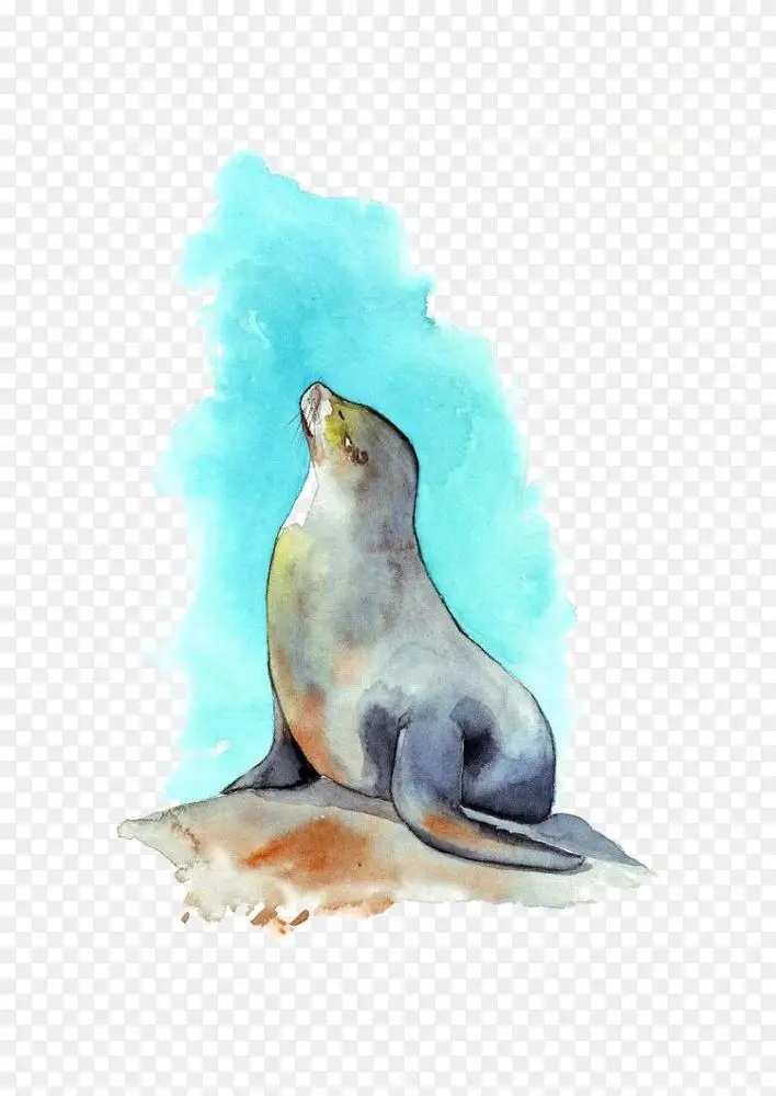 海狮水彩画.印章