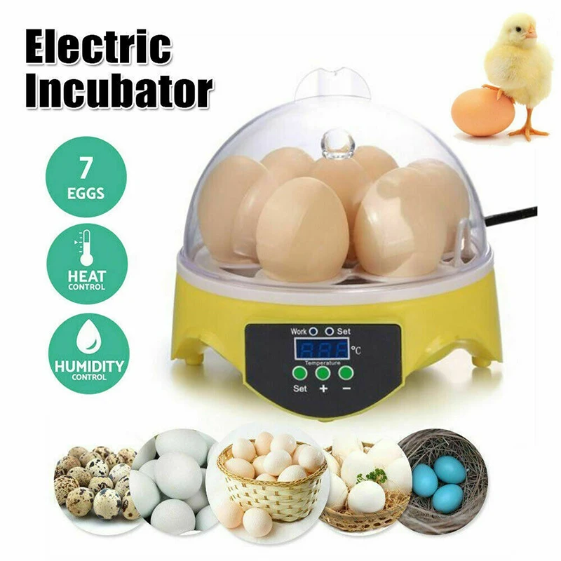 

Best 220V 110V Poultry Hatchery Machine Hatching 7 Mini Brooder Small Chicken Bird Egg Hatchers Incubator for Quail Parrot Duck