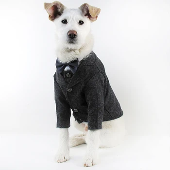 

New pet FA Dou spring clothes dog wedding dress boutique pet suit vest clothes cat gentleman's clothing