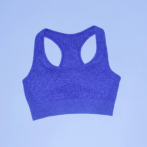 Purple Top Vital бесшовные 2 шт. Набор для йоги Женская одежда для спортзала фитнеса спортивная одежда мягкий пуш-ап спортивный бюстгальтер леггинсы с высокой талией спортивные костюмы - Цвет: Purple Top
