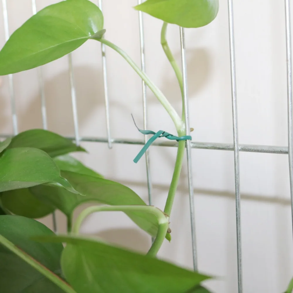 H53a23f84657e40b3bf3e77b2a6b194eae