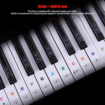 

Music Keyboard Piano Stickers Transparent Removable for 37 49 54 61 88 Keys Keyboards BHD2
