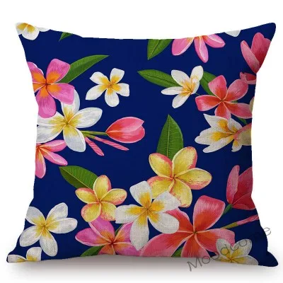 conew_n357 (29) 副本