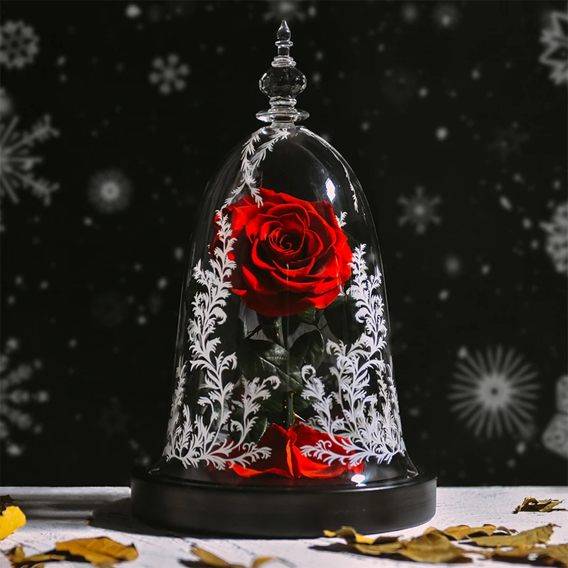 Beauty and The Beast Preserved Roses In Glass Forever Eternal Rose Flowers Christmas Valentine Gifts for Girls Mother Gift_voghion.com
