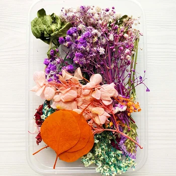 Dried Flowers Package For DIY Epoxy Decor Crafts Mixed Eternal Flowers And Leaves For DIY Aromatherapy Candles Cards Craft Decor 6