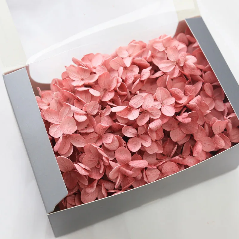20g High Quality Natural Fresh Preserved Flowers Dried Mid-wood Hydrangea Flower Head For DIY Real Eternal Life Flowers Material - Цвет: antique red