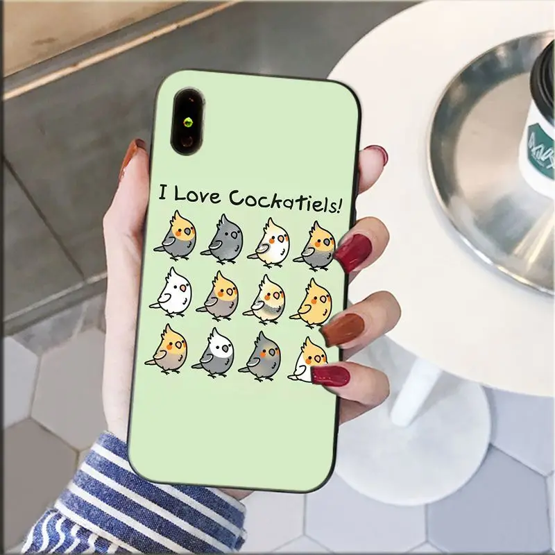 Chubby Cockatiel