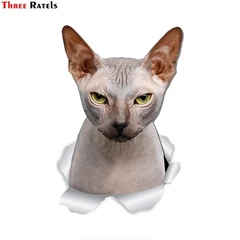 

Three Ratels FTC-1095 Grumpy Sphynx Cat Wall Decal Sphynx Cat Toilet Sticker 3D Cat Car Window and Bumper Sticker