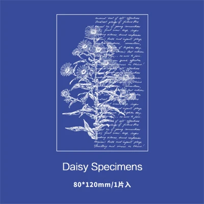 daisy specimens Креативный цветок резиновые прозрачные штампы Прозрачная силиконовая печать штампы Diy ручной работы скрапбук фотоальбом Декор товары для рукоделия - Цвет: daisy specimens
