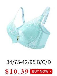 GL1_29