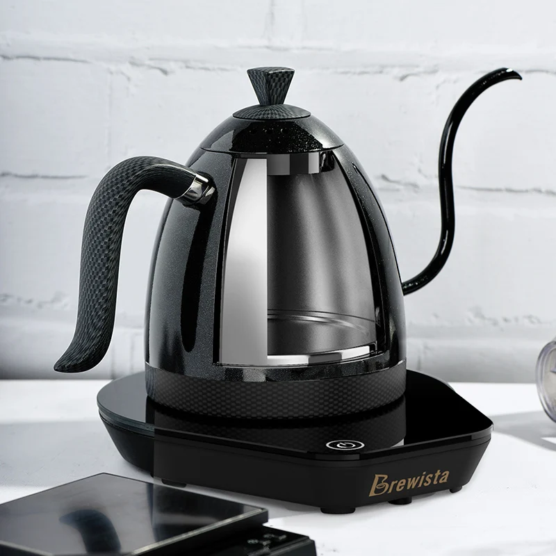 Brewista gooseneck coffee electric kettle stainless steel with temperature  control 800ML - AliExpress