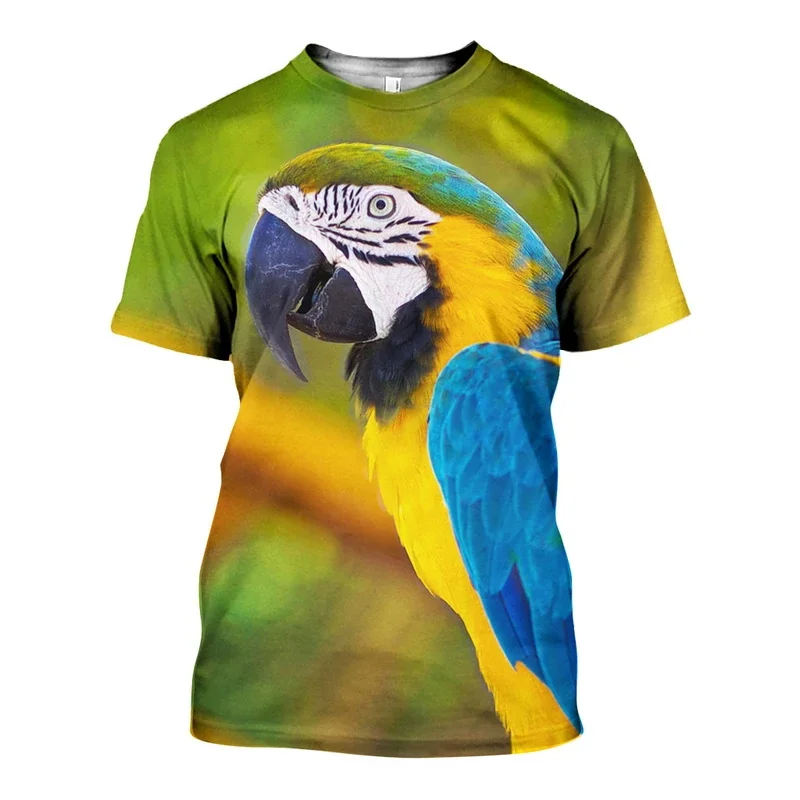 Duc_Blue_and_Yellow_Macaw_3D_DT231102_ts_800x