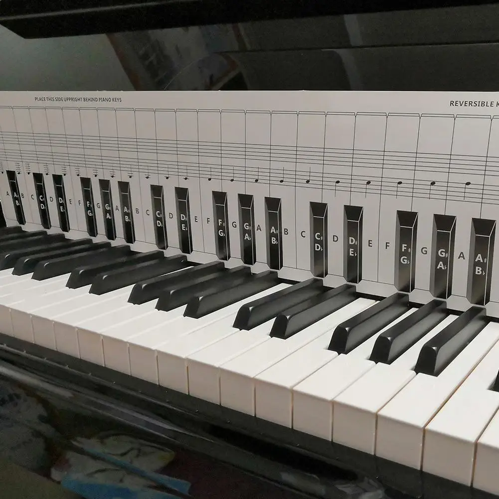 Клавиатура Для Пианино, Клавиатура Для Пианино, Бумажная.