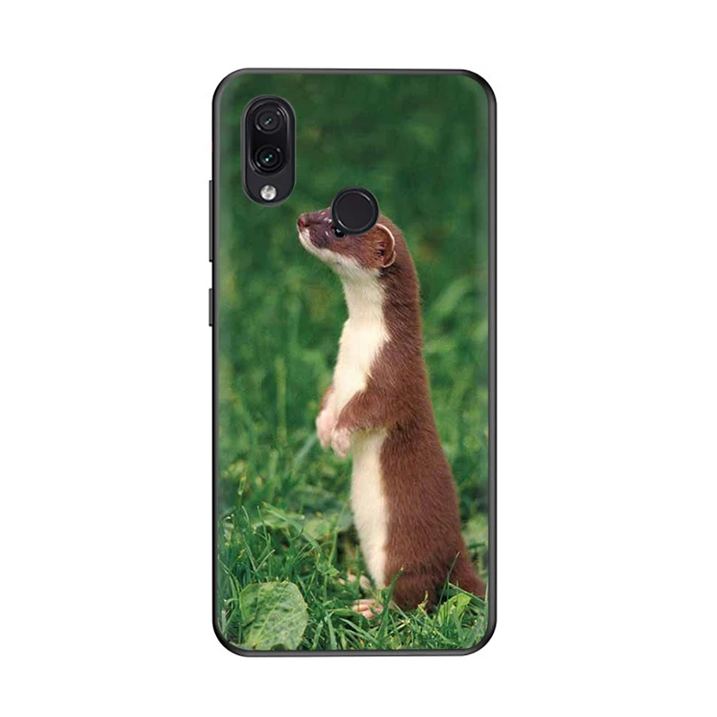 B10 Ferret Ermine Мягкий силиконовый чехол для телефона для Redmi 4A 4X5 6 5A 6A 7 Go Note 5 6 7 Pro - Цвет: B10