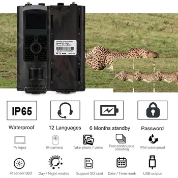 

WCDMA/CDMA Hunting Camera 3G MMS GPRS 16MP Multifunctional Trail Camera 1080p HD Wildlife Animal IR Hunting Camera 0.5s IP65