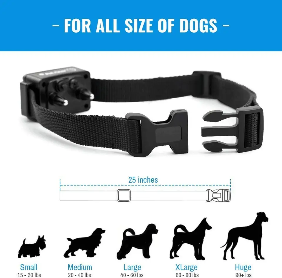 e trainer for dogs