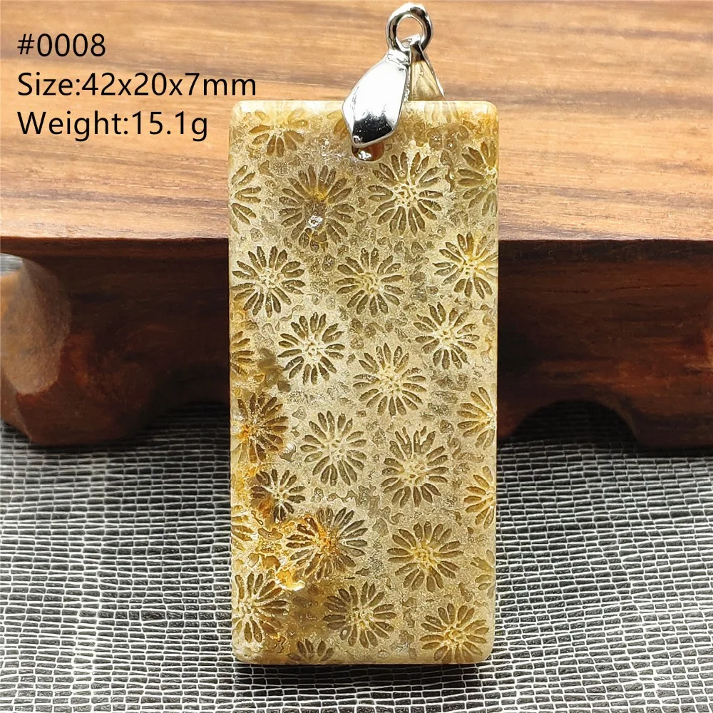 SHP0008 (5)