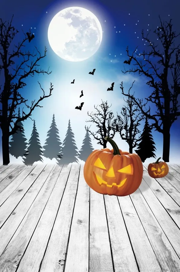 NWH02087 Laeacco фоны для фотографирования с изображением Тыква Happy Halloween волшебник Луна с изображением деревянного пола для детской фотосъемки с Фоны фотосессия Фотостудия - Цвет: NWH02087