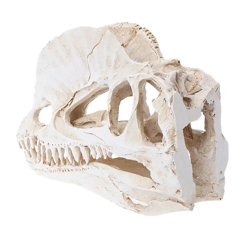 Dilophosaurus череп динозавра смолы ремесла Fossil обучение скелету модель Хэллоуин украшения дома офиса