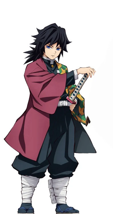 4872-2 鬼灭之刃 鬼殺隊隊服富冈义勇  价格95 (5)