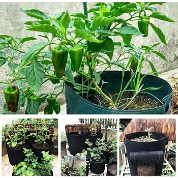 

3 Pcs Potatoes Grow Bag Garden Planting Bag Growing Fabric Pots for Tomatoes Vegetable _WK