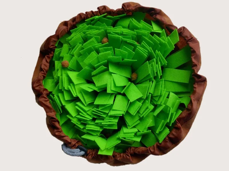 11611769998_811204053