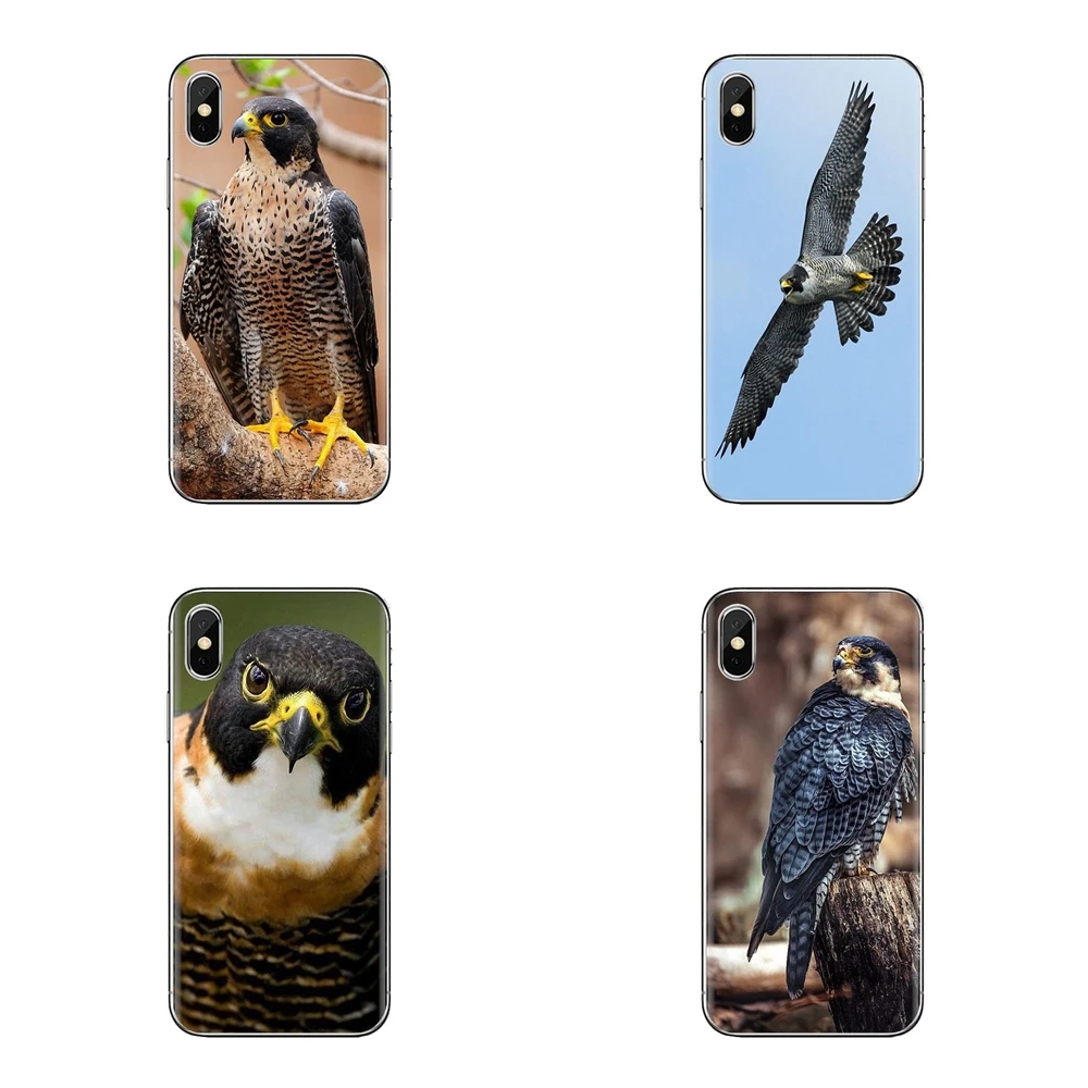 Peregrine Falcon fastest animal Birds For iPod Touch Apple iPhone 4 4S 5 5S SE 5C 6 6S 7 8 X XR XS Plus MAX Silicone Cases Cover |