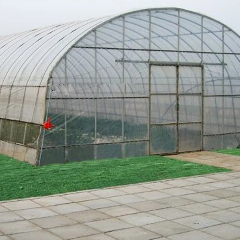 8M*30M-Cheap Vegetables Tunnel Greenhouse