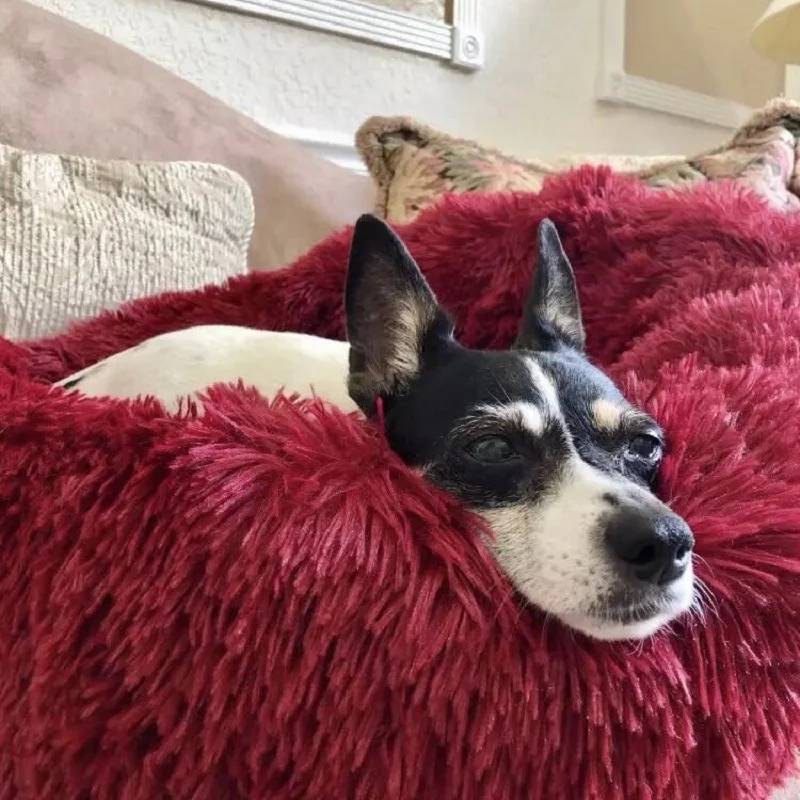 Long Plush Super Soft Dog Bed Pet Kennel Round Sleeping Bag Lounger Cat House Winter Warm Sofa Basket for Small Medium Large Dog Long Plush Super Soft Dog Bed Pet Kennel Round Sleeping Bag Lounger Cat House Winter Warm Sofa Basket for Small Medium Large Dog