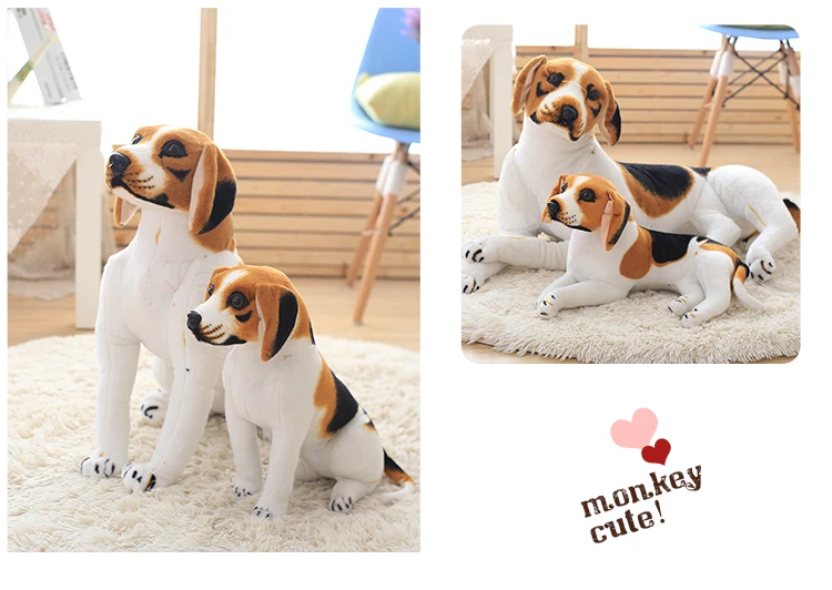 21-TB291wZiMxlpuFjy0FoXXa.lXXa_!!1711498625