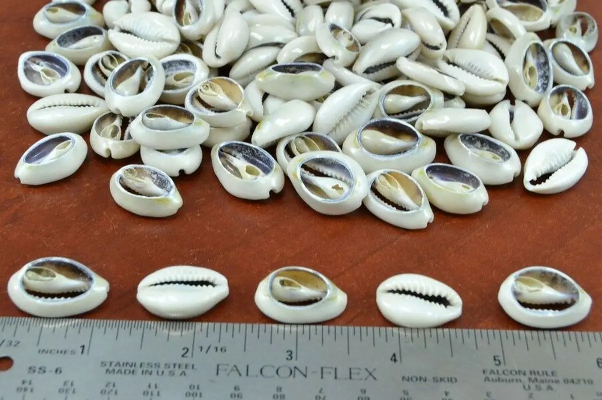 50 шт. белые бусины для поделок из морской ракушки Cowrie Cowry пляжные украшения