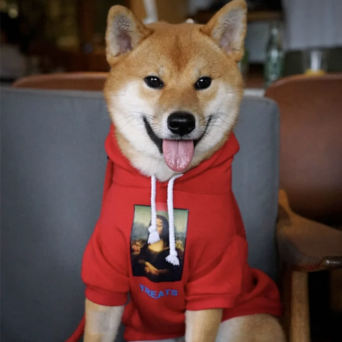 Французская одежда для бульдога собака толстовка Adidog теплая спортивная ретро для собак Толстовка с капюшоном Домашние животные одежда для щенков и Собак Мопс щенок одежда чихуахуа
