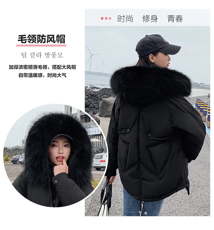 Photo Shoot Autumn And Winter New Style Loose And Plus-sized Short down Jacket Women's Slimming Short-height Thick Coat Cot