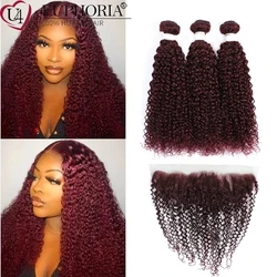 99J Kinky Curly Bundles With 13x4 Lace Frontal  Brown Brazilian Remy Human Hair 3 Bundles With Lace Closure Frontal EUPHORIA