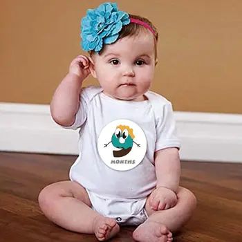 

First Year Monthly Milestone Photo Sharing Baby Belly Stickers, 1-12 Months U50F