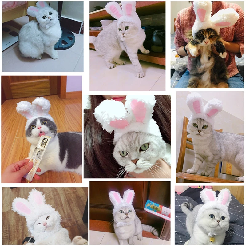 12801662112_1376810279