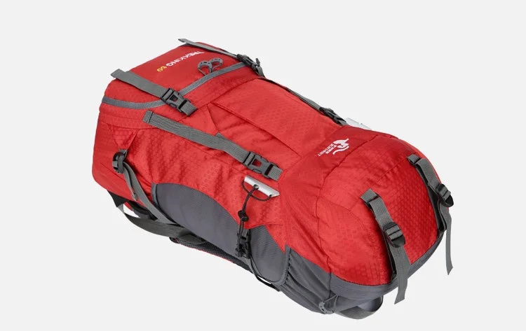 10427248169_421471669_看图王