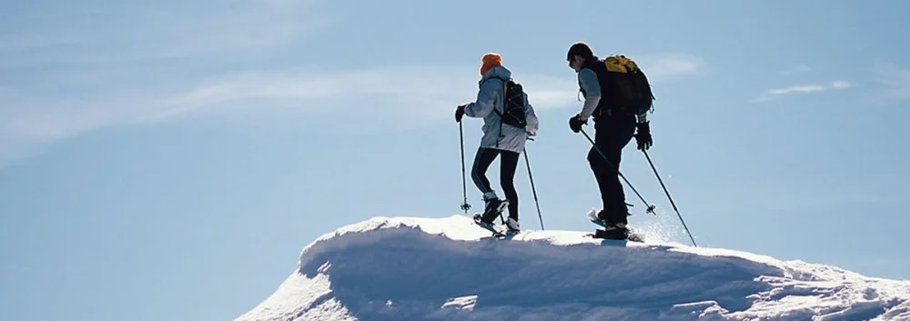 20150901152332_6835_副本