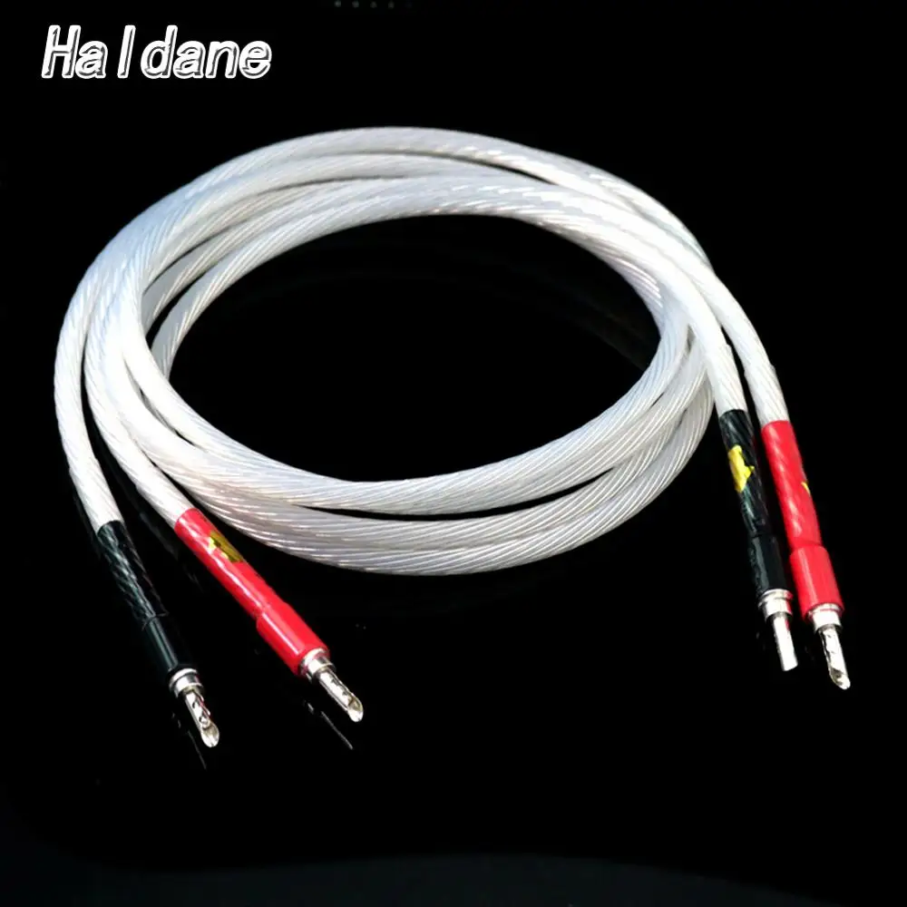 Haldane Pair HIFI 7N OCC Silver Plated Hi-end Hifi Speaker Cable banana to plug | Электроника