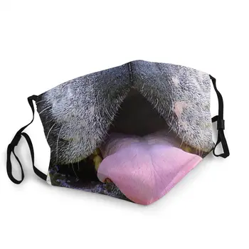 

Animal Lover Bulldog Mouth Reusable Face Mask Printed PM2.5 Anti Haze Dust Mask Protection Mask Respirator Mouth Muffle
