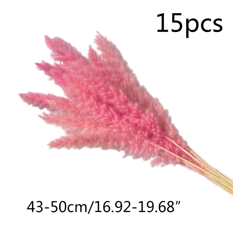 15 шт. маленькие тростниковые шлейфы букет натуральных сушеных цветов пампасы