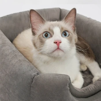 

Collapsible Cat Cave Warm House Kennel Beds Pet Cats Sofa Mats Dogs for Small Kittens Home Window Sleeping Nest Indoor Products