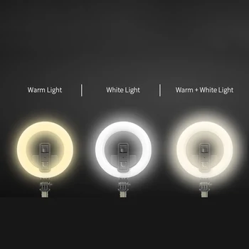 

Universal Mini Tripod Handheld Selfie Ring Light Wireless Bluetooth Selfie Stick Tripod Fill Light Phone Holder For Cellphones